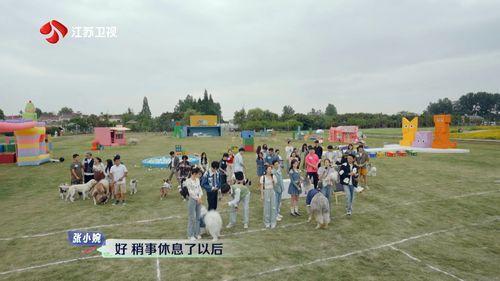 搞笑合影游戏规则,瞬间点燃欢乐氛围