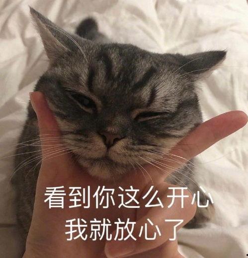 你是什么货色表情包,网络文化中的幽默与讽刺